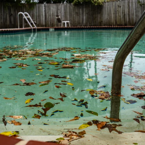 Brighton green pool restoration service