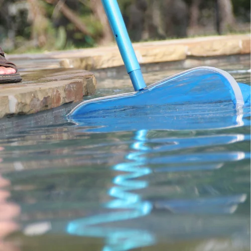 pool cleaning maintenance brighton