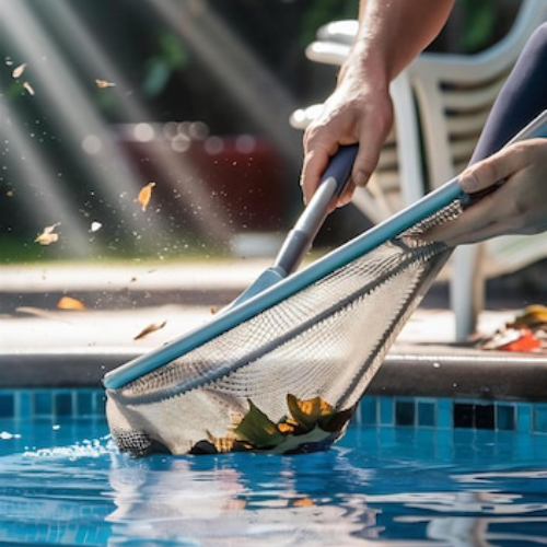 pool cleaning hampton north