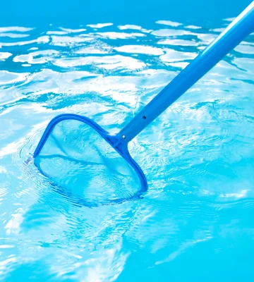 pool cleaning mentone