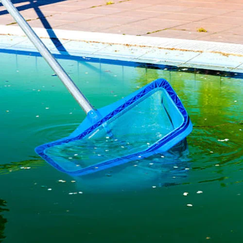 swimming pool maintenance services caulfield junction