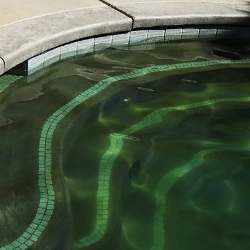 pool maintenance near caulfield north prices