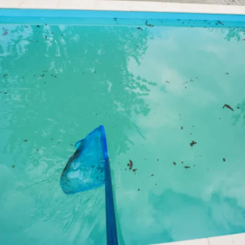 pool cleaning and maintenance chadstone