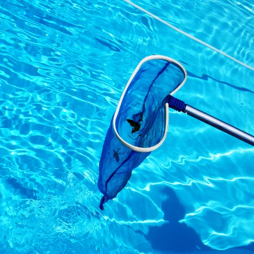 pool cleaning service mentone