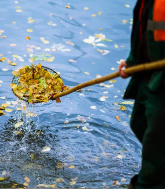 pool cleaning services canterbury