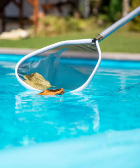 pool cleaning services mordialloc