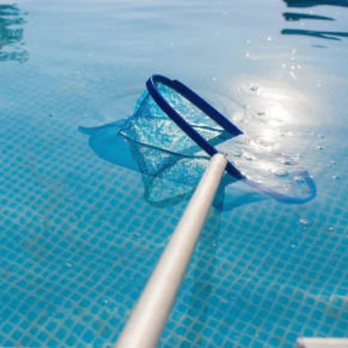 pool cleaning services sandringham