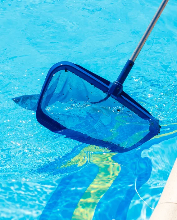 pool cleaning services gardenvale