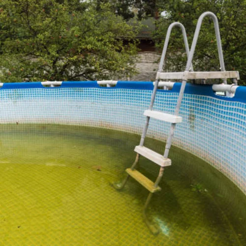 pool maintenance cost mordialloc