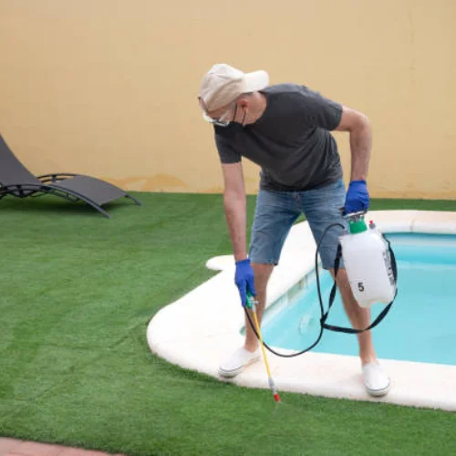 pool maintenance mulgrave