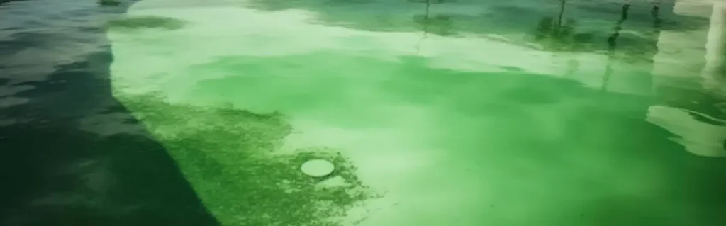 recovery green pool melbourne
