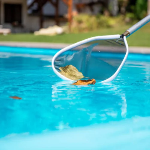 caulfield north pool maintenance