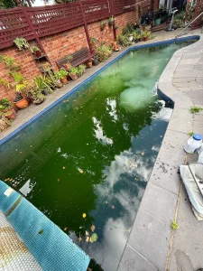 pool cleaning and maintenance