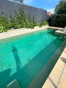 pool cleaning and maintenance