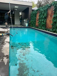 pool cleaning and maintenance