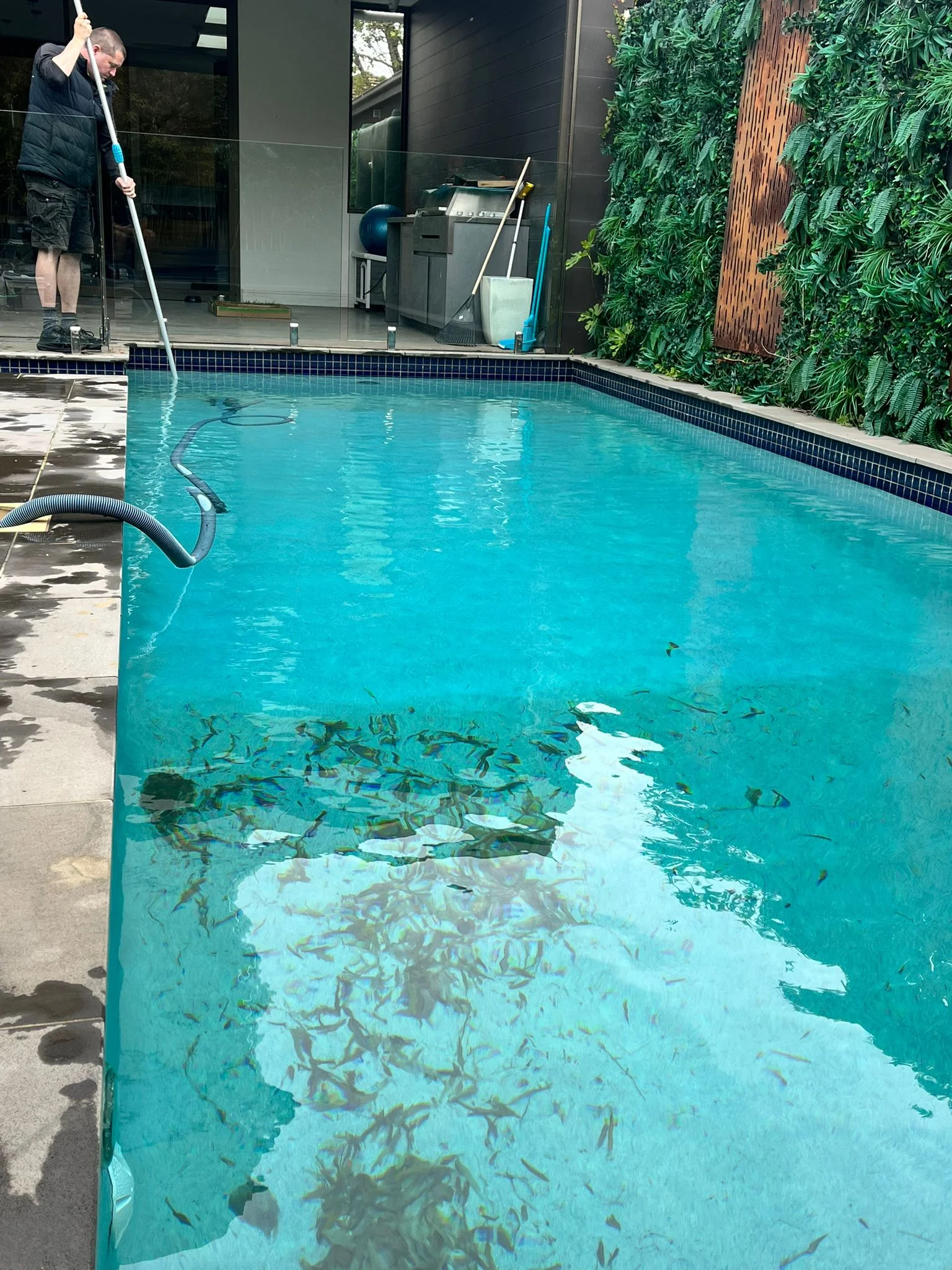 pool cleaning and maintenance