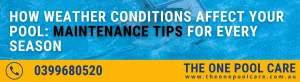 Pool Maintenance Tips for Every Season