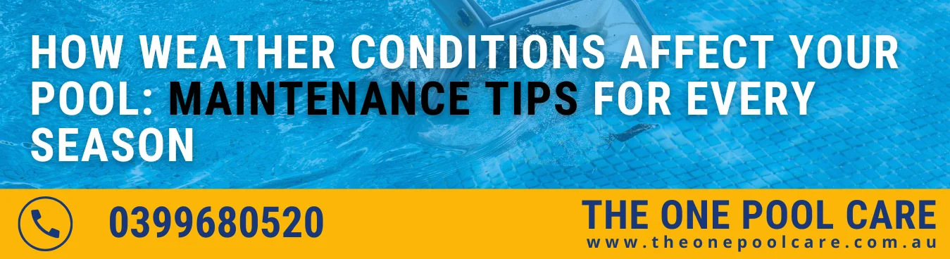 Pool Maintenance Tips for Every Season