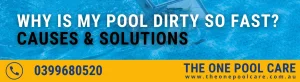 Pool Get Dirty So Fast