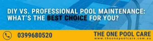 Professional Pool Maintenance