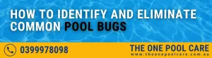 Eliminate Common Pool Bugs