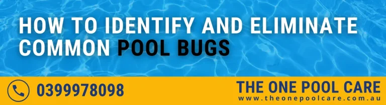 Eliminate Common Pool Bugs