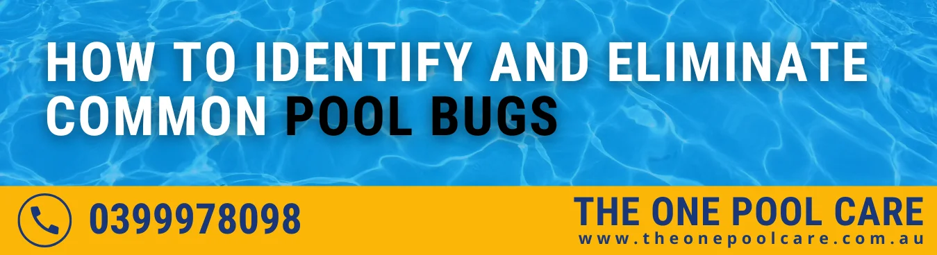 Eliminate Common Pool Bugs