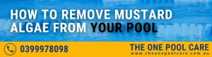 Remove Mustard Algae from Your Pool