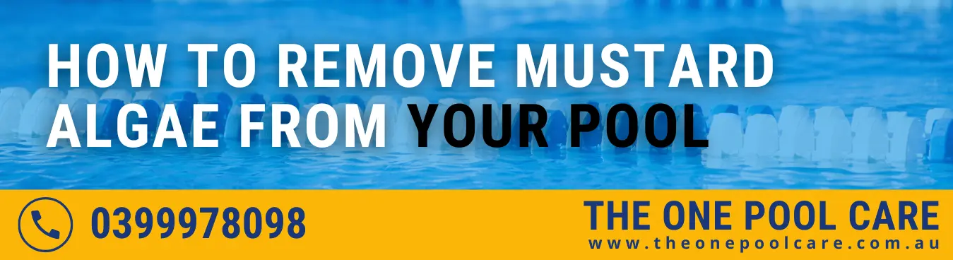Remove Mustard Algae from Your Pool