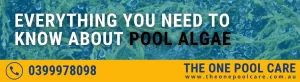 Pool Algae Types