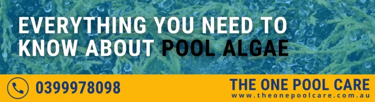 Pool Algae Types