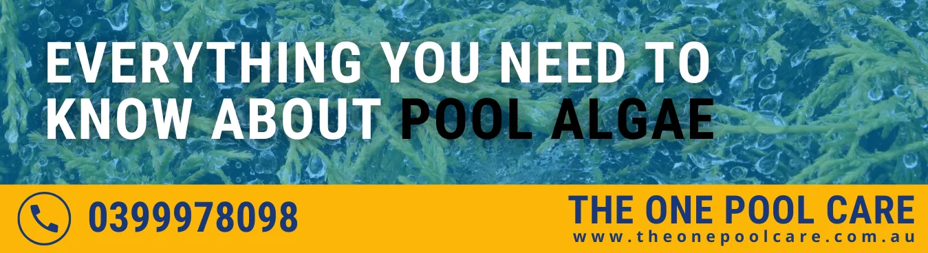 Pool Algae Types