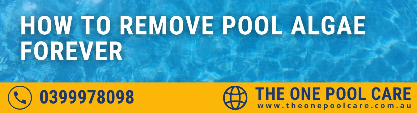 Remove Pool Algae Forever