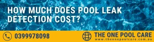 Pool Leak Detection Cost