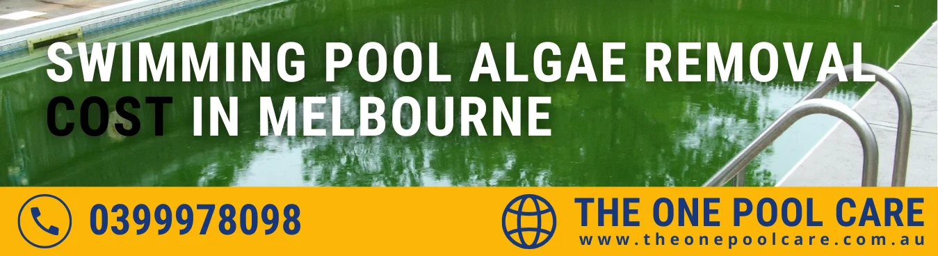Swimming Pool Algae Removal Cost in Melbourne