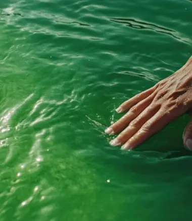 Green Pool Fix Treatment Melbourne