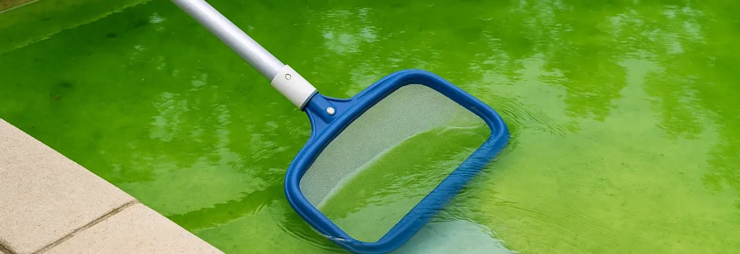Filter & Skimmer Clean