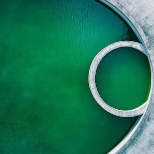 Elsternwick Green Pool Recovery Service