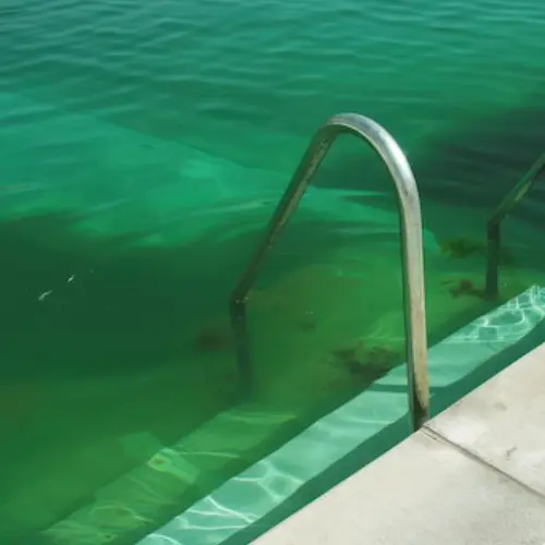 Green Pool Restoration Service Hampton North