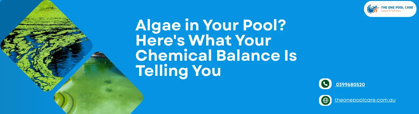 Algae in Your Pool? Here’s What Your Chemical Balance Is Telling You