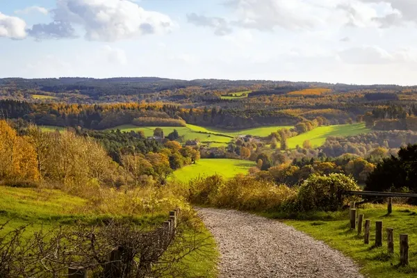 Box Hill North