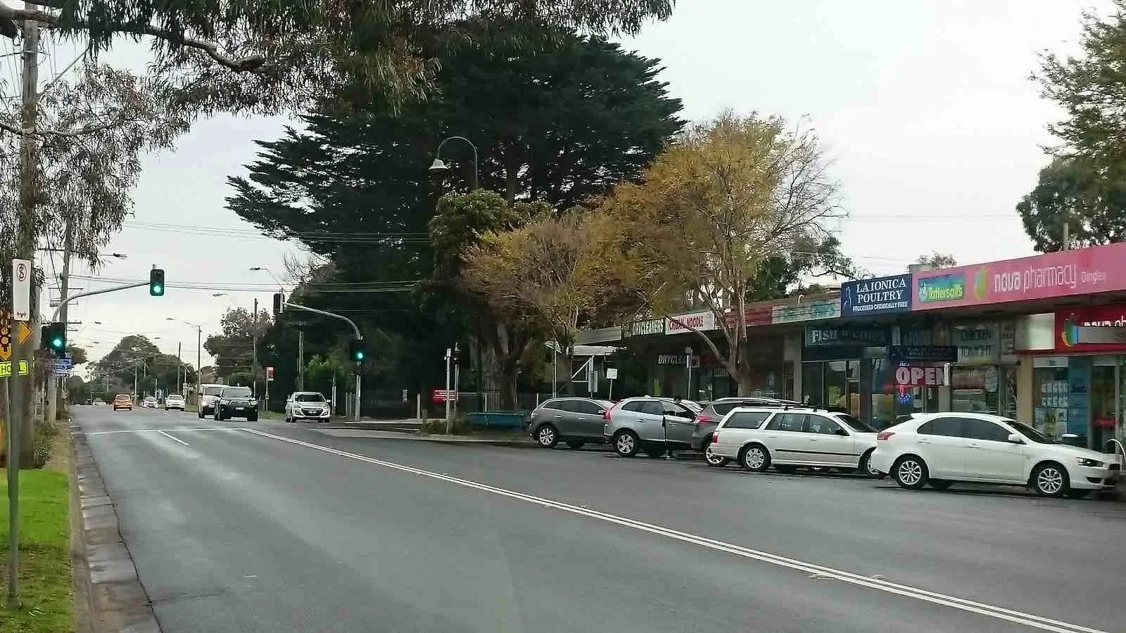 Dingley Village