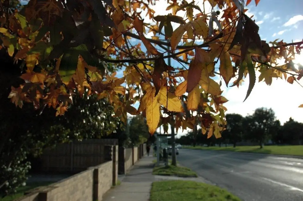Moorabbin