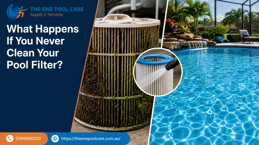 What Happens If You Never Clean Your Pool Filter