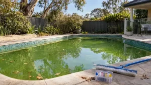 Pool a Green Swamp After Winter